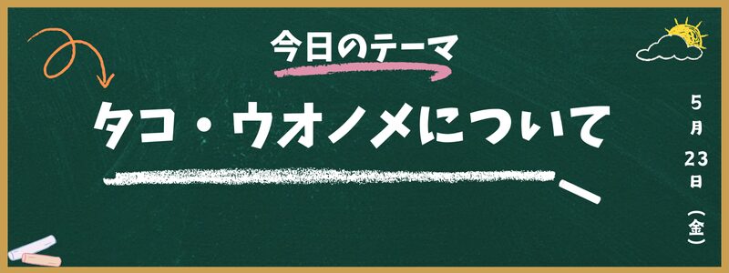 タコ ウオノメ